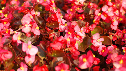 Similar image 21147180