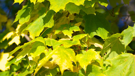 Similar image 21147182