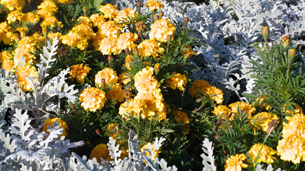 Similar image 21147185