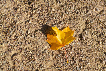 Similar image 21147187