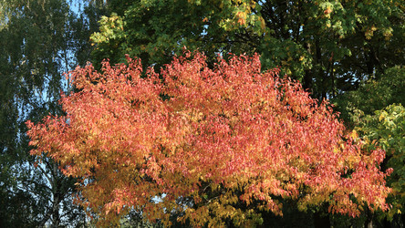 Similar image 21147191