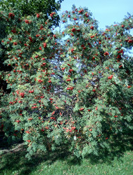 Similar image 21147192