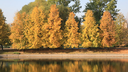 Similar image 21147193