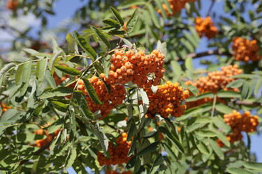 Similar image 21147210