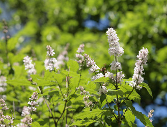 Similar image 21147220