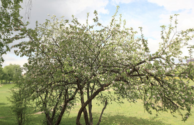 Similar image 21147227