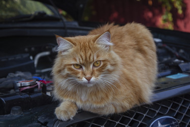 Similar image 21145857