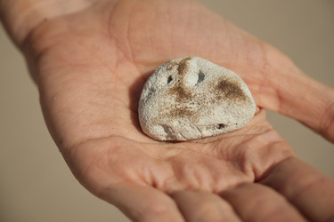 Similar image 21149179