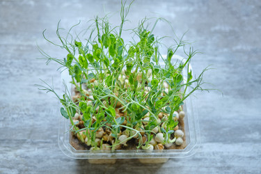 Similar image 21151632