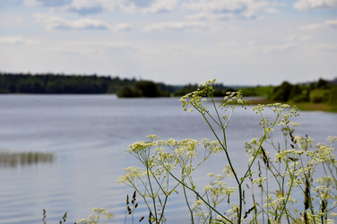 Similar image 21153875