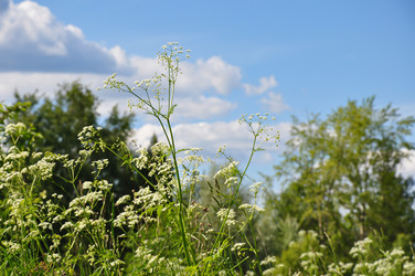 Similar image 21153878