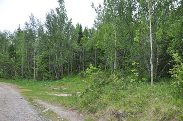 Similar image 21153899