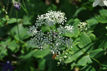 Similar image 21153908