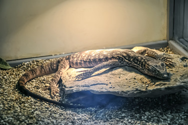 Similar image 21153910