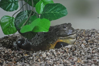 Similar image 21153911