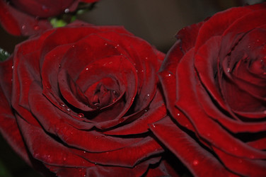 Similar image 21153912