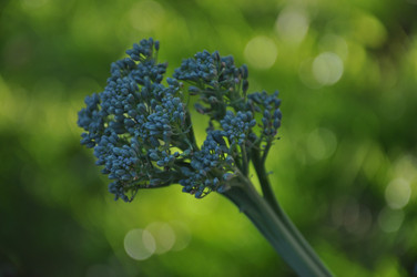 Similar image 21153225