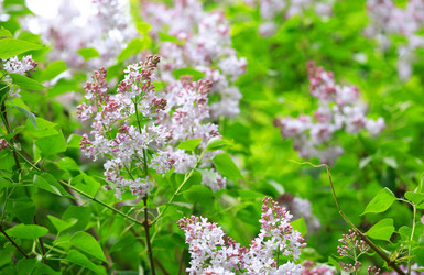 Similar image 21147256