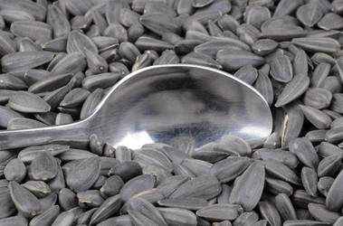 Similar image 21147258