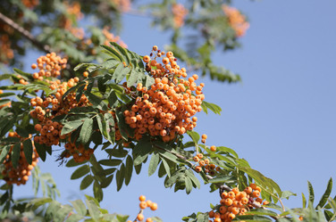 Similar image 21147262