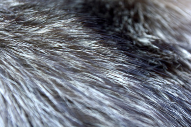 Similar image 21145977