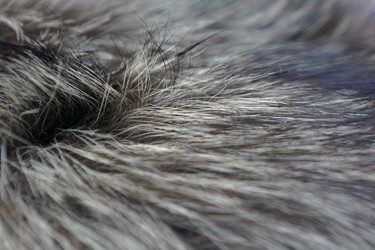 Similar image 21145978