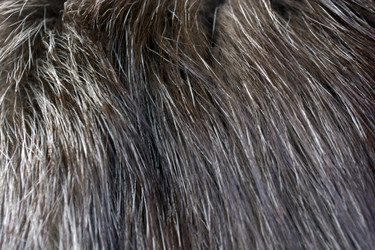 Similar image 21145979