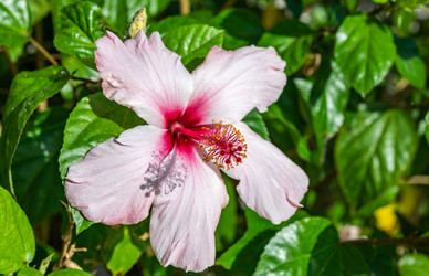 Similar image 21149366