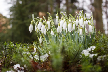 Similar image 21148535