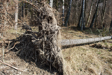 Similar image 21148551