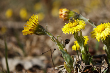 Similar image 21148553