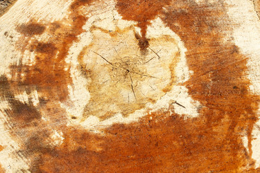 Similar image 21148557