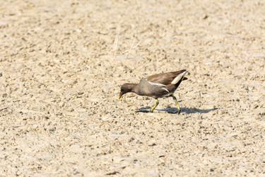 Similar image 21146796