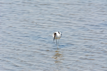 Similar image 21146799