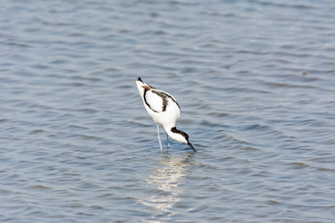 Similar image 21146801