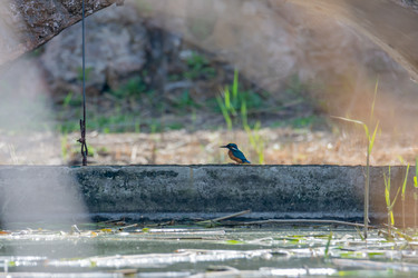 Similar image 21146803