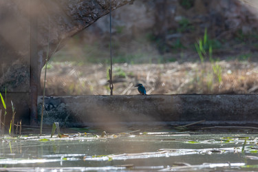 Similar image 21146807