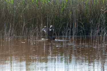 Similar image 21146811