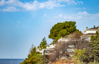 Similar image 21149394