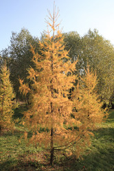 Similar image 21147286