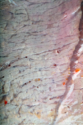 Similar image 21147298