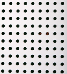 Similar image 21147299