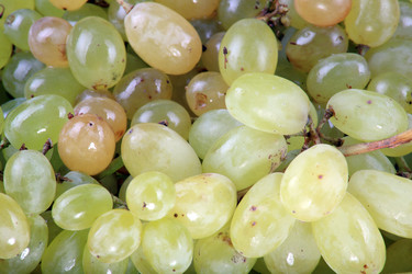 Similar image 21147305