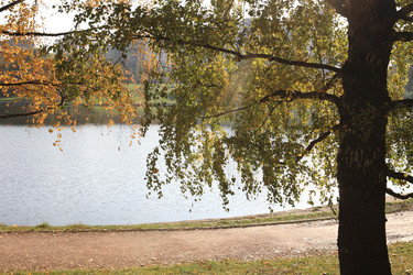 Similar image 21147311