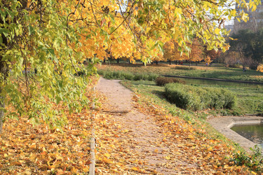 Similar image 21147313