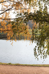 Similar image 21147315