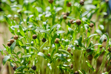 Similar image 21151734