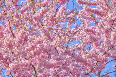 Similar image 21151750