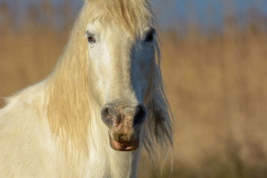 Similar image 21146848