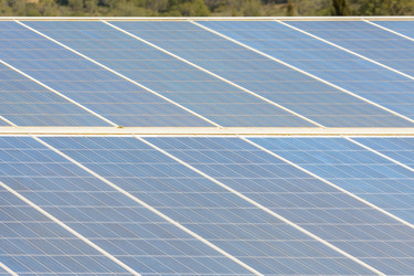 Similar image 21146855